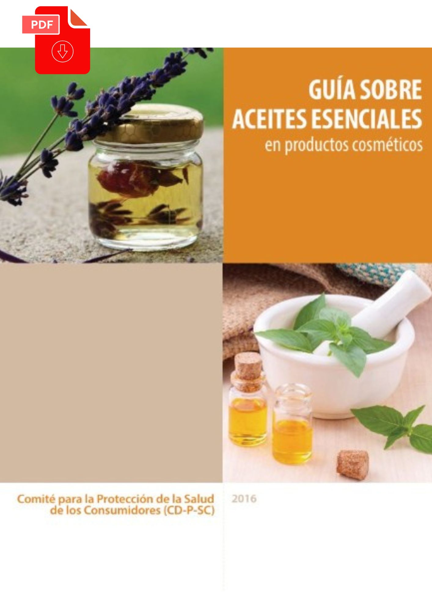 portada guia sobre